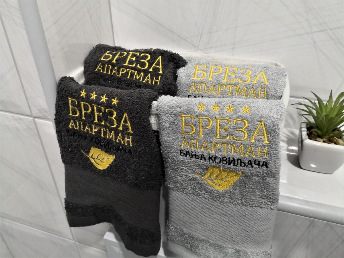 Breza - апартман бреза * Banja Koviljaca