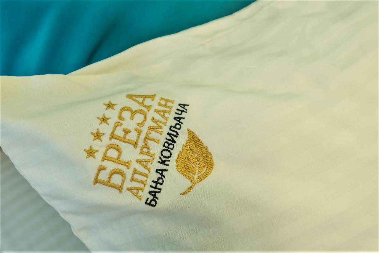 Breza - апартман бреза Banja Koviljaca